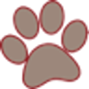San Tan Animal Hospital