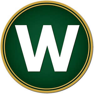 Wonderland Tire - Holland, MI - Logo