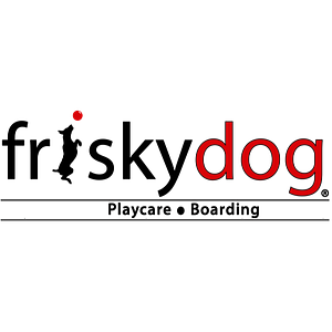Frisky Dog