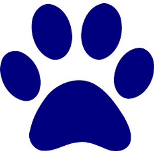 Critter Cuts Pet Salon