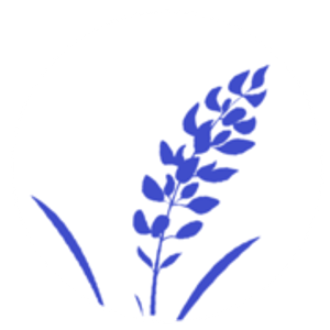 Bluebonnet Brunch House