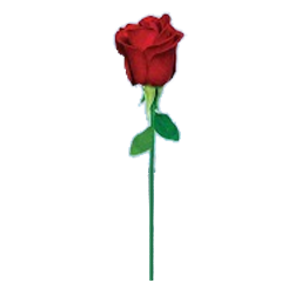Rose Hart Pest Control - Logo