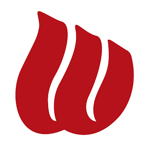 Wesley Medical Center - Logo