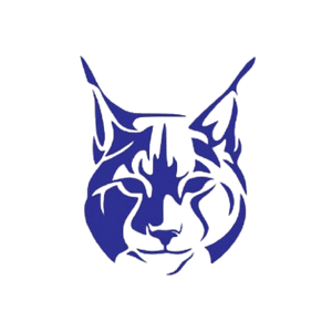 Bobcat Electric LLC