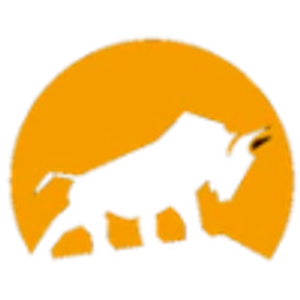 Bison Off Road - Logo