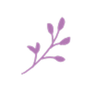 One Preston Events - Logo