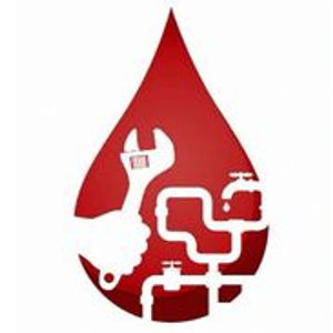 Dave's Plumbing & Rooter - Logo