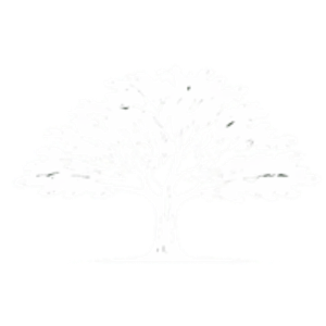 Johnny's Tree Service - Logo