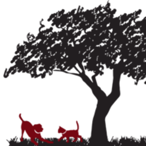 Baytree Animal Hospital - Veterinarian in Valdosta