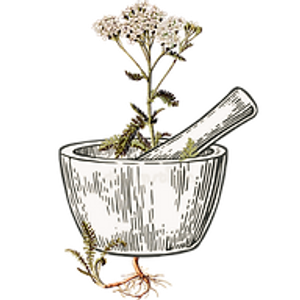 Rooted Remedies - The Community Apothecary - Logo