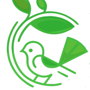Trejos Landscaping and Gardening