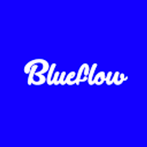 Blue Flow Plumbing