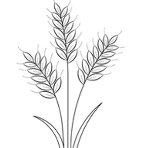 Hayfield at Murchison Farms - Logo