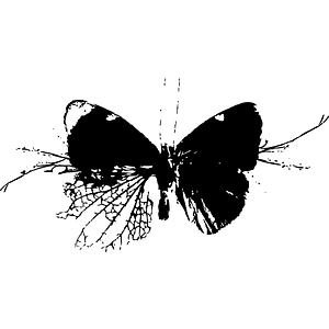 Butterfly Jac Salon - Logo