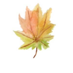 Maple Leaf Naturopathy - Logo