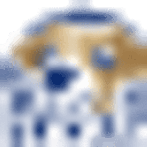 The Puddle - Pet AquaFitness & Nutrition - Logo