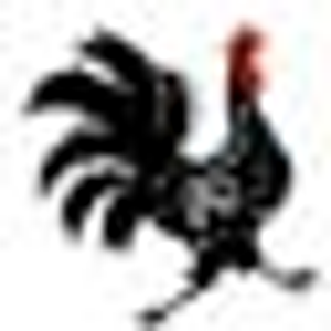 Funky Chicken Store - Logo
