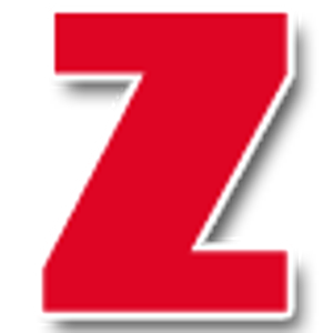 ZELENSKE'S PAINTING - Logo