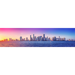 The Miami Home Buyers - Logo