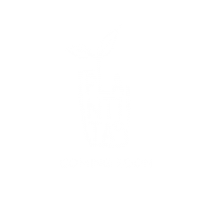 Plantiitas - Logo
