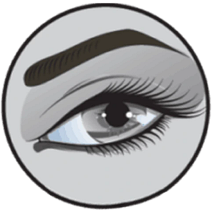 BrowBeat Studio Dallas Microblading Certification and Training Academy - Logo
