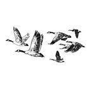 Wild Geese Tree Care - Logo