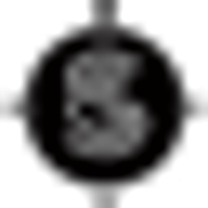TSG Residential Real Estate - Logo