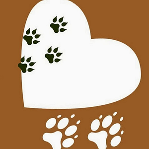 Briarcrest Veterinary Care Center PLLC - Logo