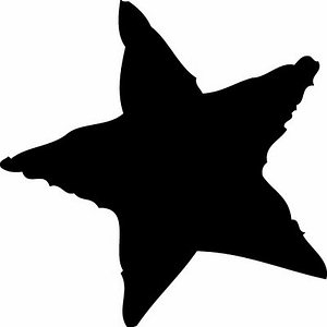 Remy Wines - Logo