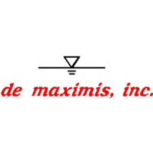 De Maximis Inc - Logo