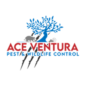 Ace Ventura Pest and Wildlife Control