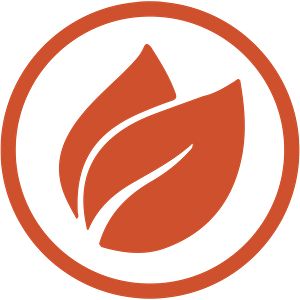 New Life Church - Logo