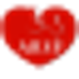 Akita Rescue Society of Florida - Logo