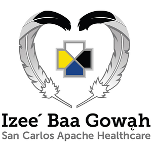 San Carlos Apache Emer Med Services - Logo