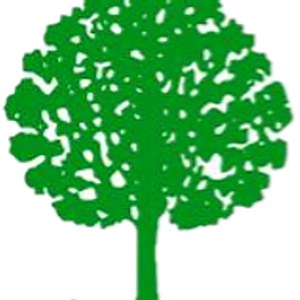 Blue & Green Services LLC - Logo