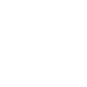 Gina Seibert~ Silvercreek Realty Group - Logo