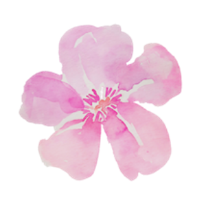 Party Blooms | Flower Wall Rentals - Logo