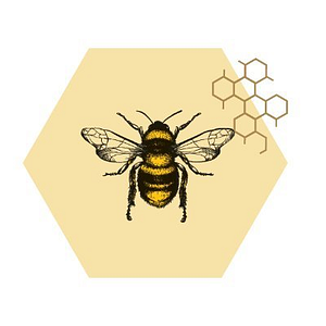 B-Hive Yoga