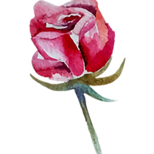Full Bloom Flower Preservation - Logo