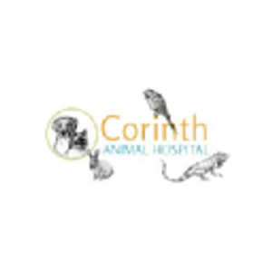 Corinth Animal Hospital - Logo