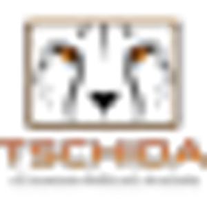 Tschida Construction