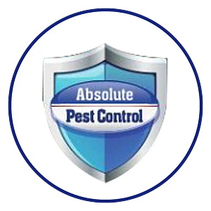 Absolute Pest Control