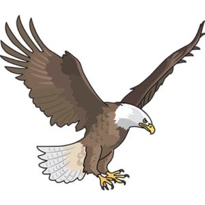 Victory Home Service - Logo