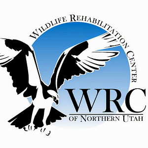 Wildlife Rehabilitation Center of Northern Utah - Logo