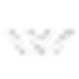 Whisper Carts - Logo