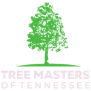Tree Masters of Tennessee