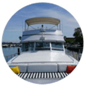 Adeline’s Sea Moose