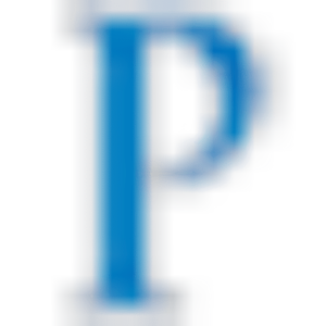 Paramount Contracting Inc