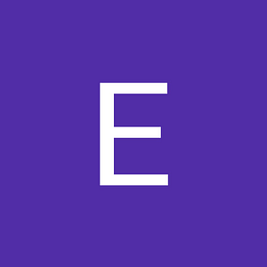 Entertainment Solutions Inc
