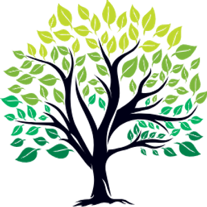 Tree Trimming Services